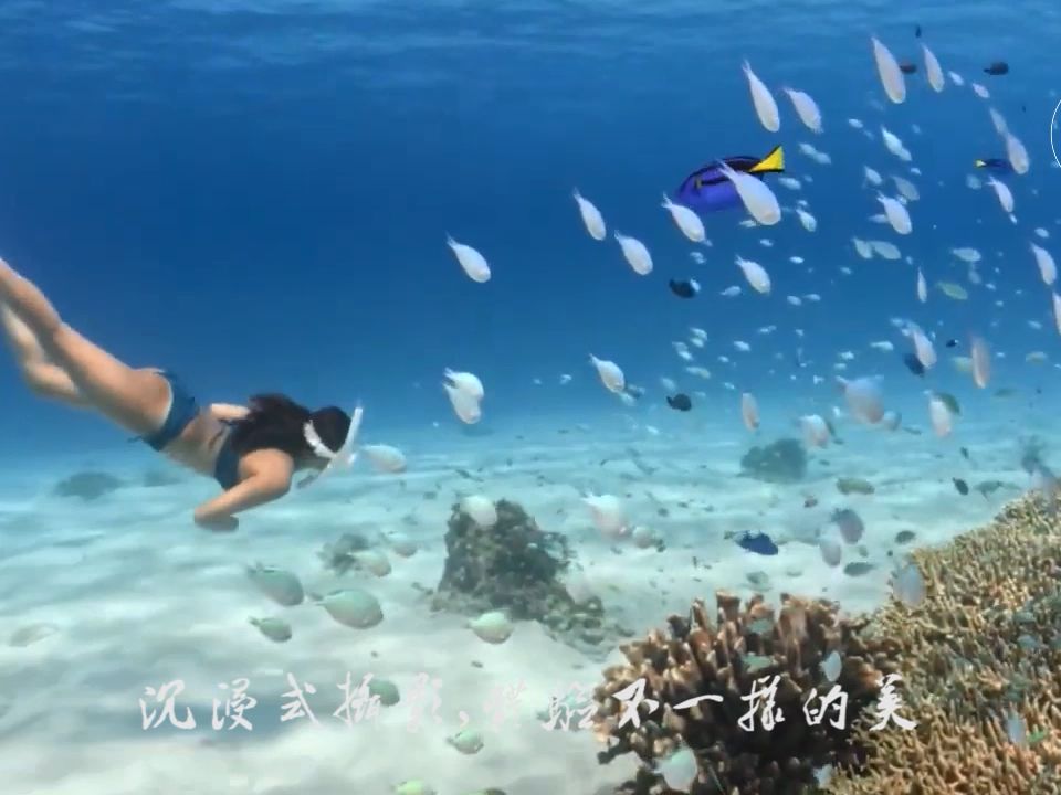 米兰体育网-夜间自由潜水表演，光影交错尽显海底魅力的简单介绍