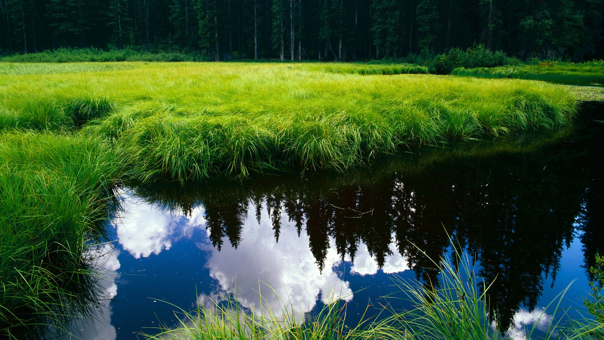 北京首钢艰难获胜,主场不败纪录延续,北京首钢战绩2020