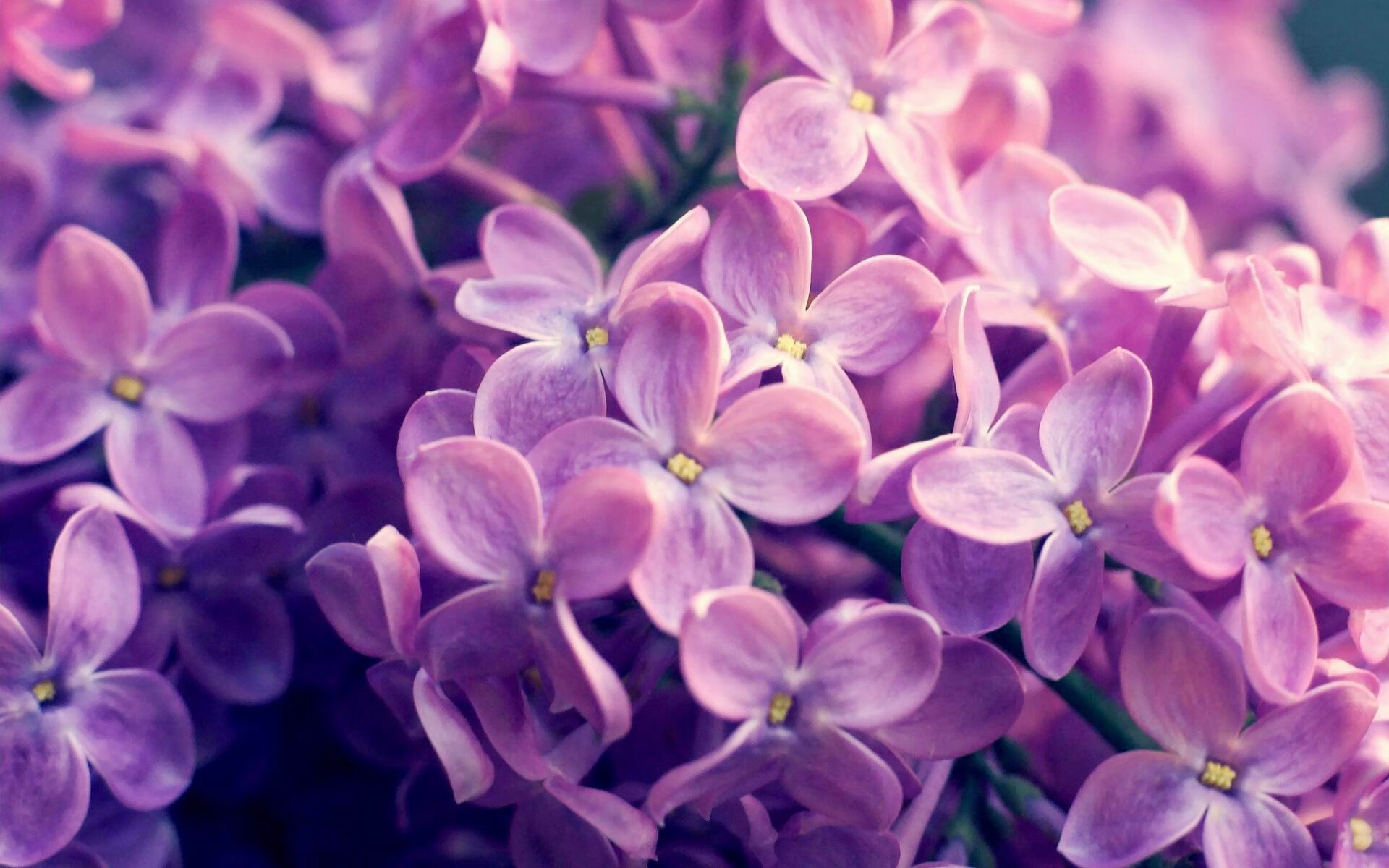 德甲劲旅球员伤病情况更新,德甲弱旅