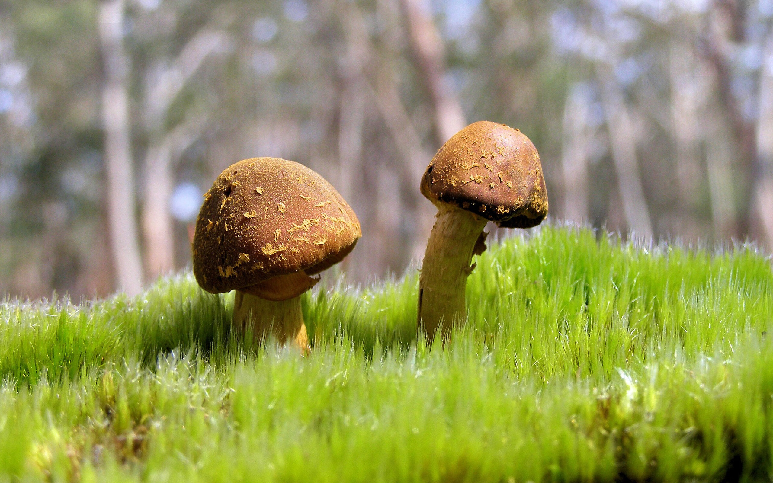 欧文赫夫展现绝佳实力，助球队取胜，欧文哈尔