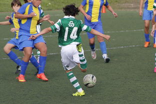 米兰体育app入口-中国足球外援依赖度趋势分析，中国足球外援依赖度趋势分析图