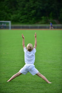 milan.com-高校体育专业课程体系动态调整研究，全国普通高校体育教育专业课程方案