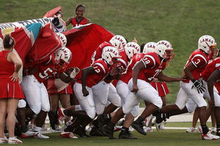 米兰体育APP官网-青少年体育社团快速发展 激发校园活力，体育社团开展