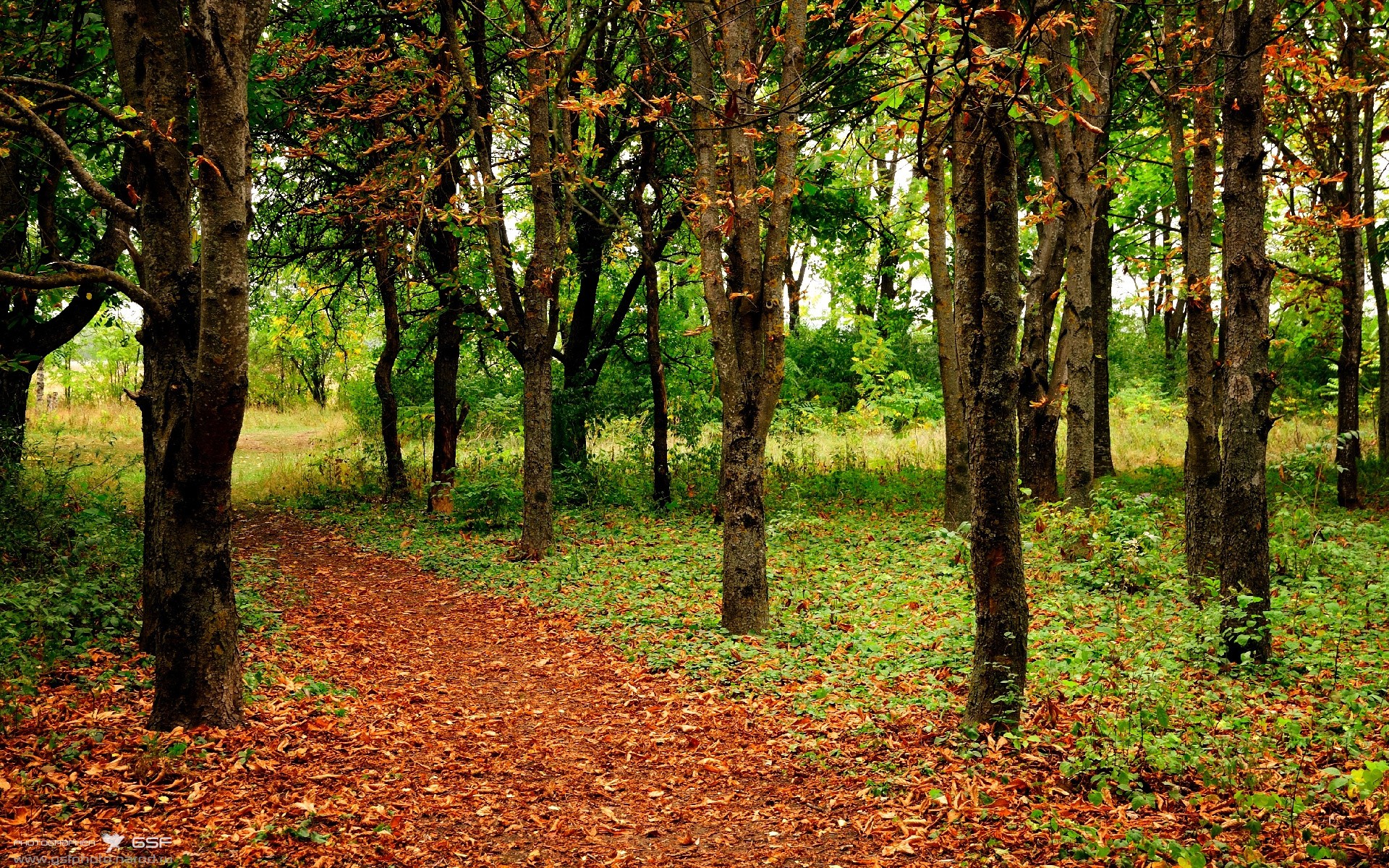 米兰体育官方网址入口-体育明星积极参与公益，体育明星赞助案例