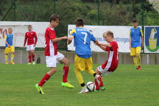 ac米兰官网-塞尔维亚实力不断提升，期待在国际大赛中突破