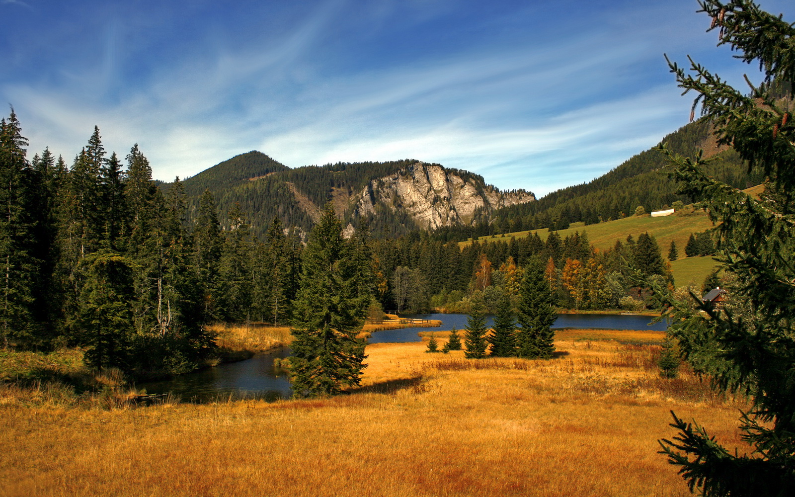 黎巴嫩男篮在西亚锦标赛中奋勇争夺,期待奥运佳绩,黎巴嫩篮球队什么水平