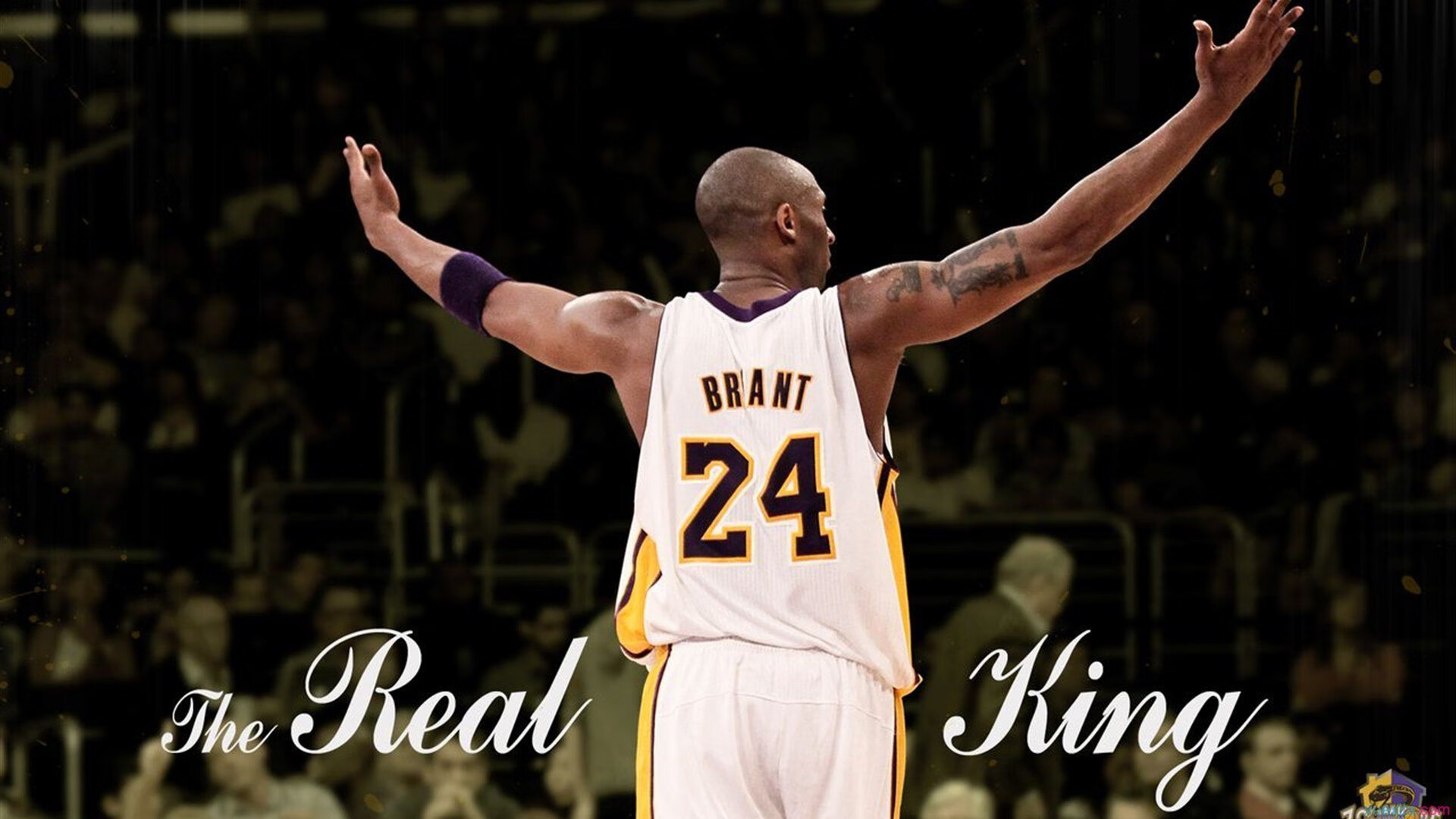 海底水下寻宝大赛，神秘宝藏等你探索，水下寻宝都需要什么工具